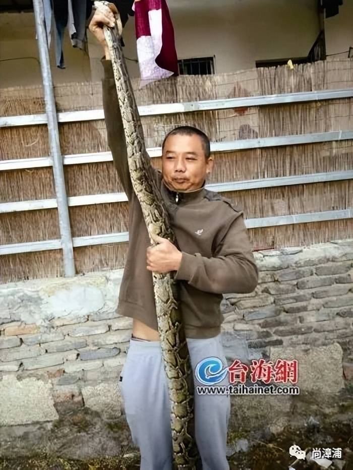 女游客疑被蛇咬伤身亡后<strong></p>
<p>炒币视频教程</strong>，博主“啊宝”讲毒蛇1天涨粉190万