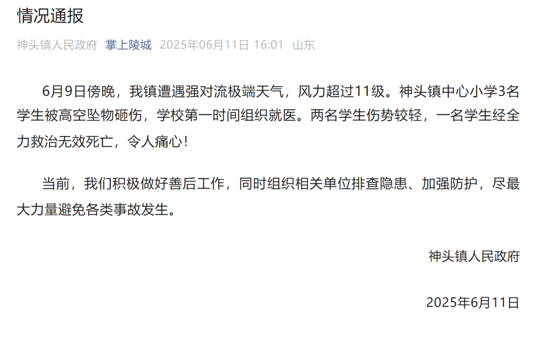 山东德州通报“小学楼顶光伏板掉落砸中多名学生”:3名学生被砸伤<strong></p>
<p>嘉信c币</strong>,1名学生经全力救治无效死亡