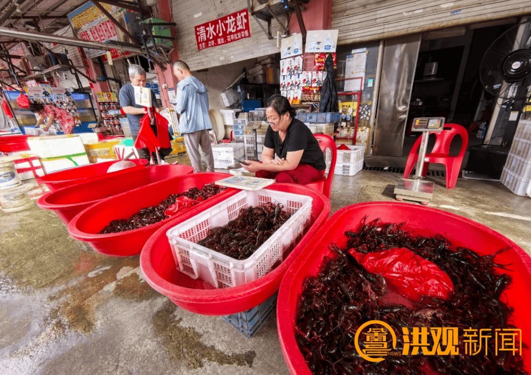 价格腰斩<strong></p>
<p>币圈视频</strong>!13元/斤!南昌正大量上市