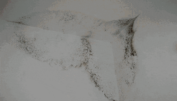 “真的绝望”！最近<strong></p>
<p>币交易网站</strong>，很多深圳人家中被悄悄入侵！速自查这些地方……