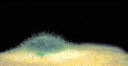 “真的绝望”！最近<strong></p>
<p>币交易网站</strong>，很多深圳人家中被悄悄入侵！速自查这些地方……