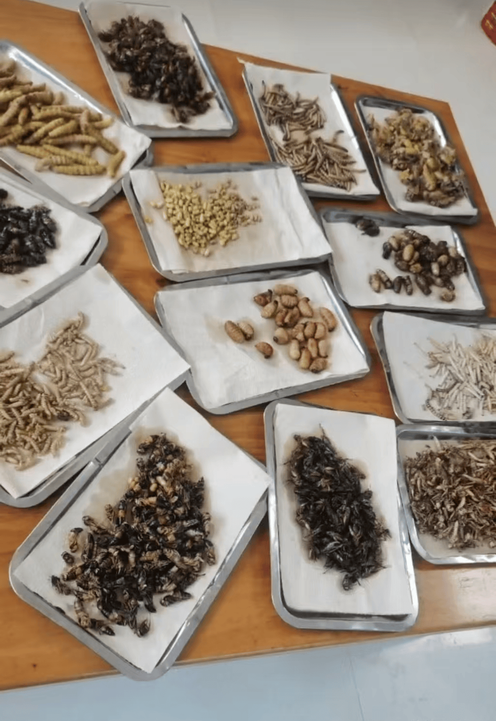 山东临沂通报“蛤蟆汤”饭店被拟罚45万:撤销处罚<strong></p>
<p>二宝币</strong>,5人停职