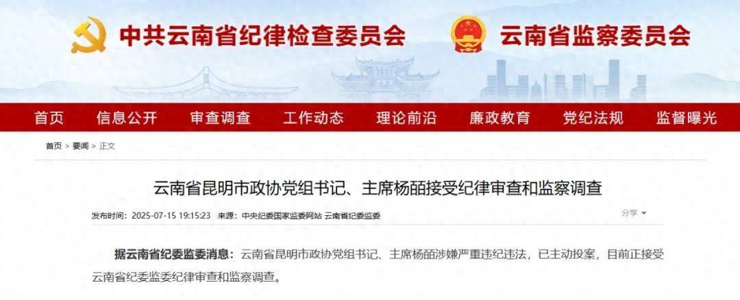 曾任昆明市副市长的她，主动投案