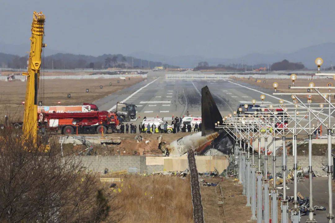 致179人遇难！韩国12·29济州航空空难阶段性调查结果出炉：飞机遭遇鸟击后飞行员关错发动机，导致两台发动机失去动力