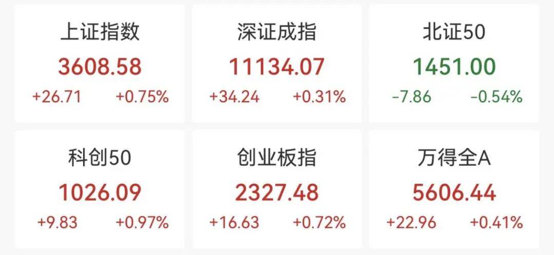 重回3600点！牛市“旗手”<strong></p>
<p>炒币方法</strong>，涨停！