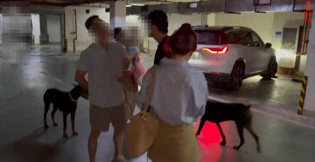 江苏一小区两只杜宾犬没拴绳引激烈争执<strong></p>
<p>炒币方法</strong>，物业回应