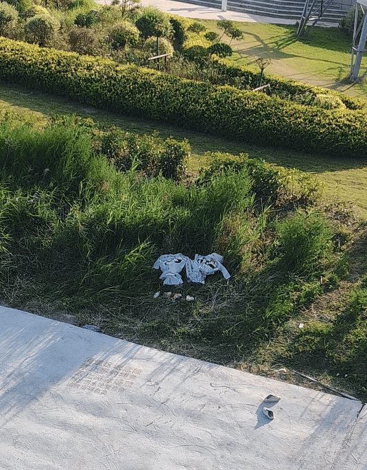 痛心!宋士佳遗体已被发现<strong></p>
<p>币加所交易中心</strong>,年仅30岁