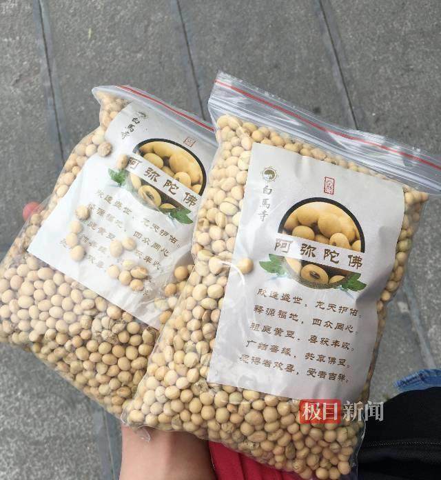 印乐方丈管理下的白马寺：僧人顶着高温种地<strong></p>
<p>碰碰币</strong>，义工称寺里秉承农禅并重