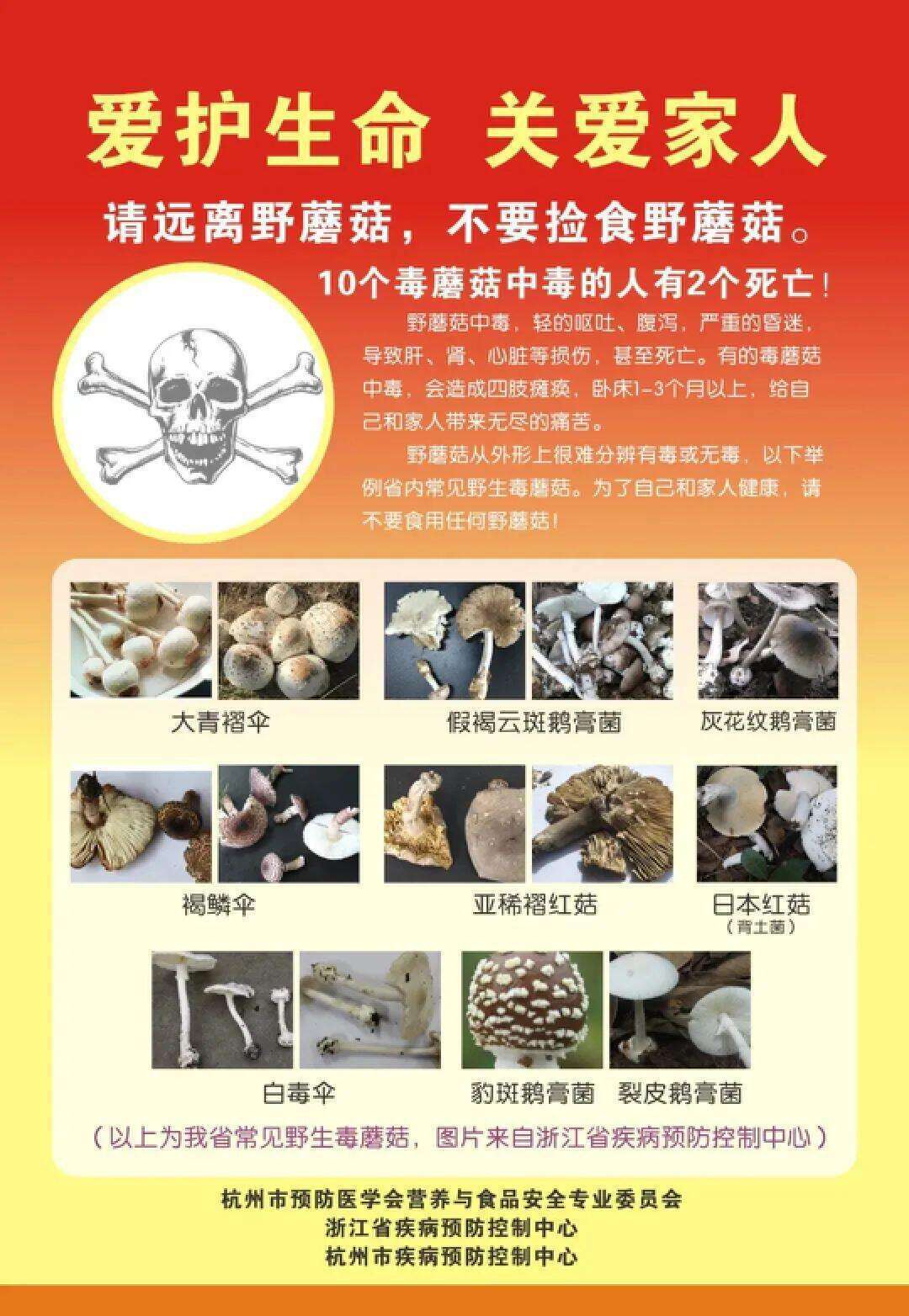 云南姑娘今年在杭州采了200斤鸡枞菌<strong></p>
<p>币圈妙语</strong>！专家提醒→