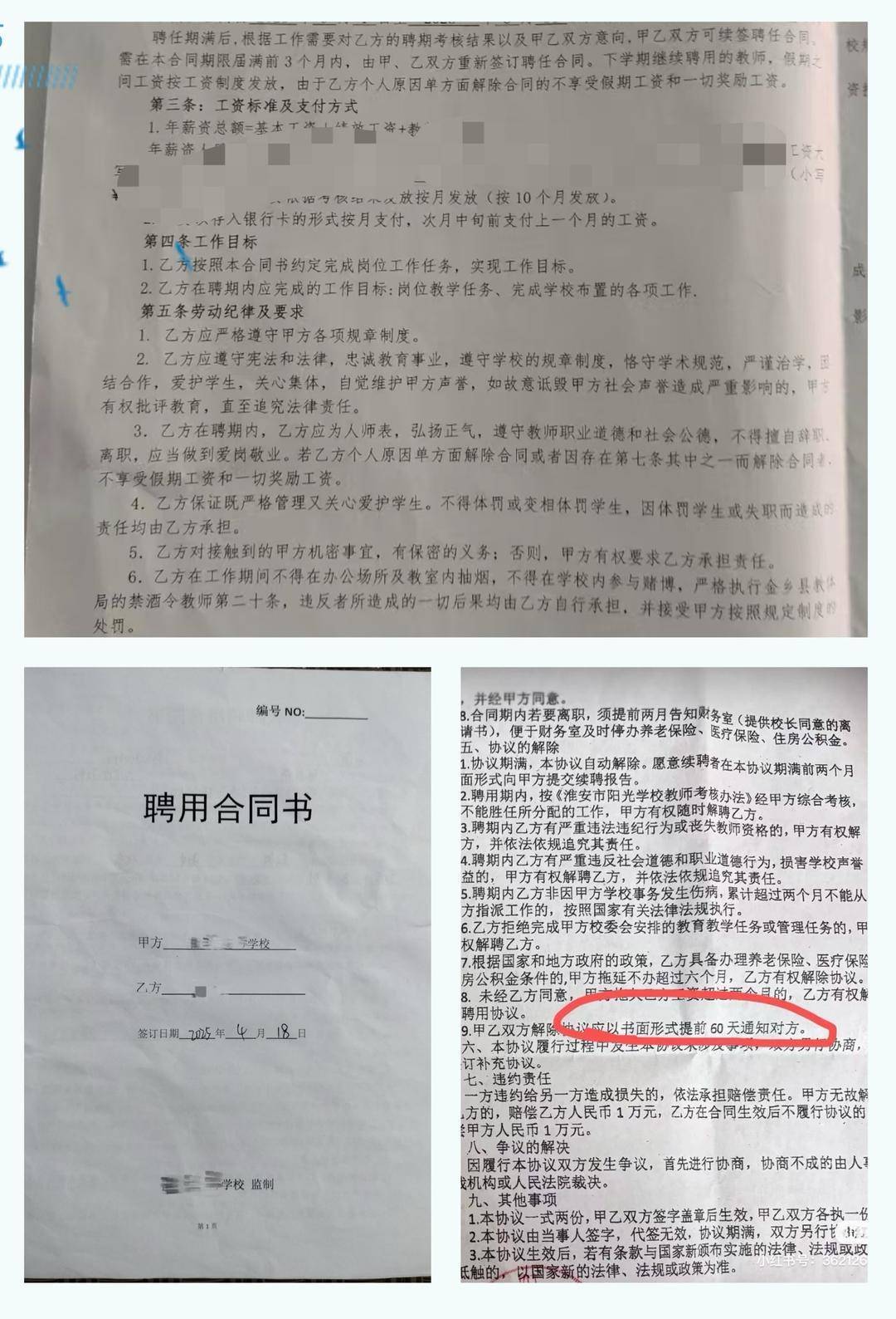 以招生未达到预期为由<strong></p>
<p>英语</strong>,多地新聘教师遭拟入职学校单方面毁约|封面深镜