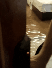 只因在酒店房间晾衣服<strong></p>
<p>法语</strong>，却赔了2000块？