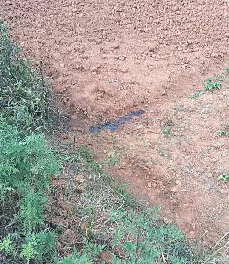 工人如厕被误当猎物枪击身亡<strong></p>
<p>俄语</strong>,亲属:他此次打工是为攒钱筹备女儿婚礼