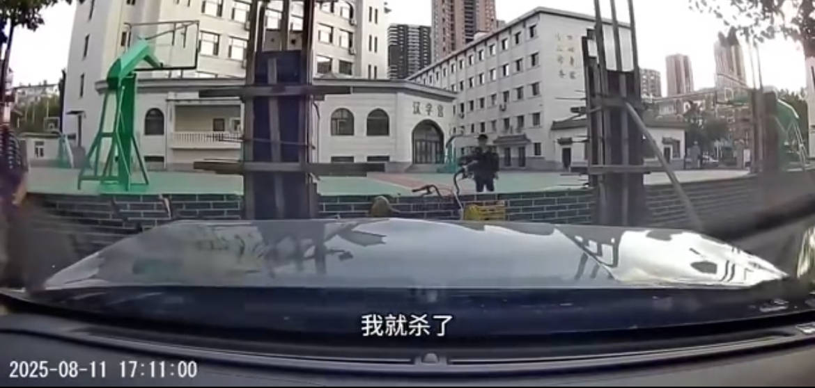 沈阳19岁男子因抢行纠纷开车撞人被刑拘！律师：综合实际情况<strong></p>
<p>雅克科技股票</strong>，更符合故意伤害特征