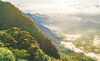 <strong></p>
<p>雅克科技股票</strong>我国首批5个国家公园完成确权登记