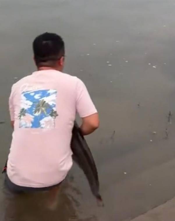 四川一男子钓1米长大鱼后放生<strong></p>
<p>中信证券股票</strong>，围观者高呼“卖给我”，回应：钓鱼是为娱乐