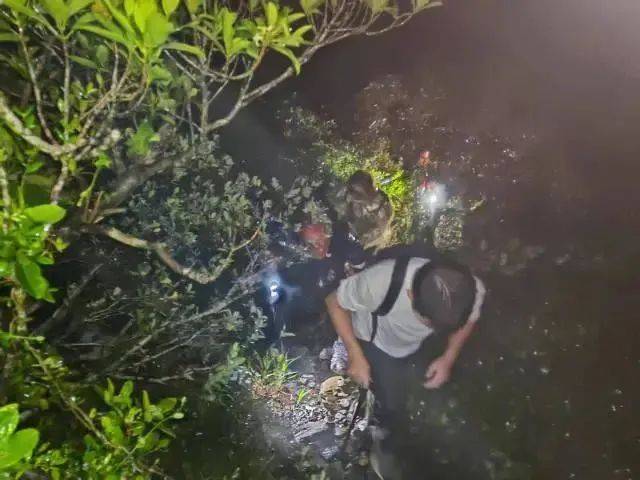 每人罚款5000元<strong></p>
<p>沃尔核材股票</strong>！深圳开出全国首张罚单