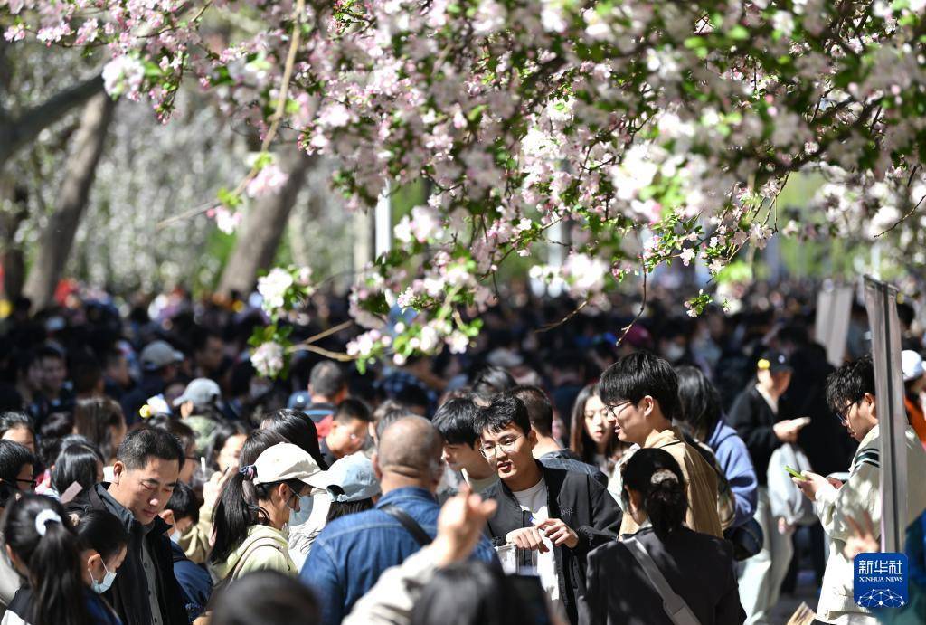 不少大学校园成“打卡地”，高校如何界定“开放度”？