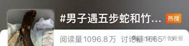 安徽宣城一男子走路玩手机<strong></p>
<p>同方股份股票</strong>,一脚踩中打架的竹叶青和五步蛇,被俩毒蛇咬3口!医院:暂无生命危险,正在治疗
