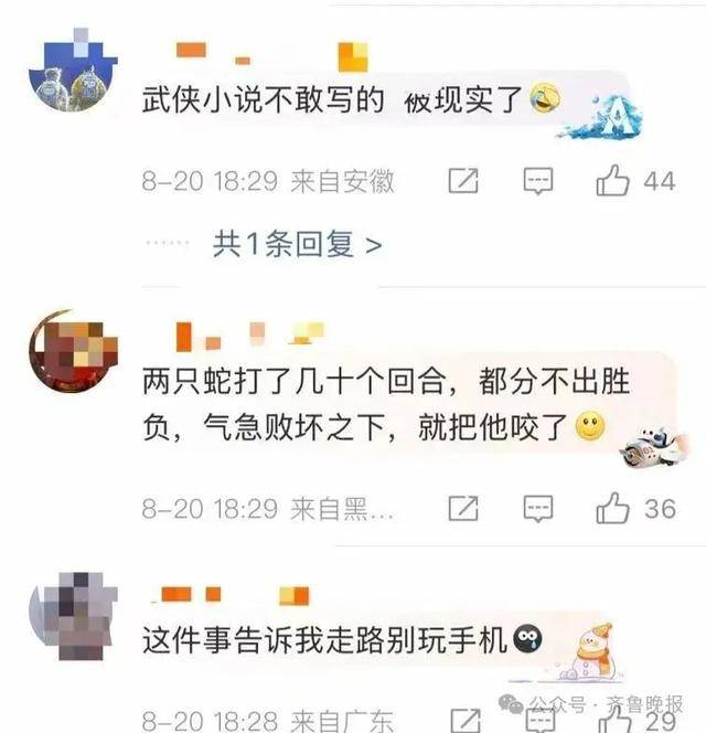 安徽宣城一男子走路玩手机<strong></p>
<p>同方股份股票</strong>,一脚踩中打架的竹叶青和五步蛇,被俩毒蛇咬3口!医院:暂无生命危险,正在治疗