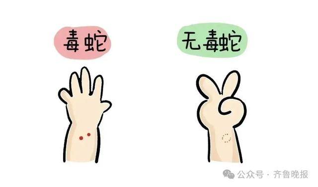 安徽宣城一男子走路玩手机<strong></p>
<p>同方股份股票</strong>,一脚踩中打架的竹叶青和五步蛇,被俩毒蛇咬3口!医院:暂无生命危险,正在治疗