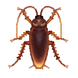 小心<strong></p>
<p>同方股份股票</strong>!你的快递正在“偷渡”小强!