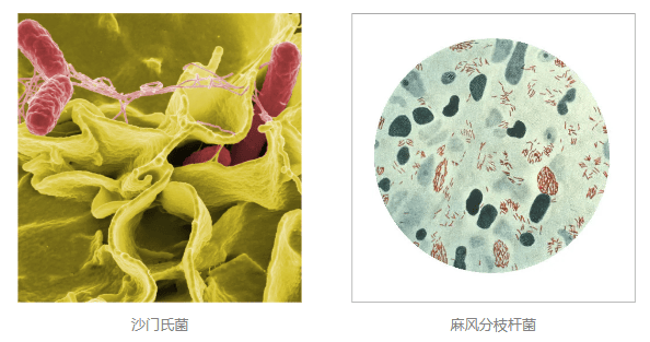 小心<strong></p>
<p>同方股份股票</strong>!你的快递正在“偷渡”小强!