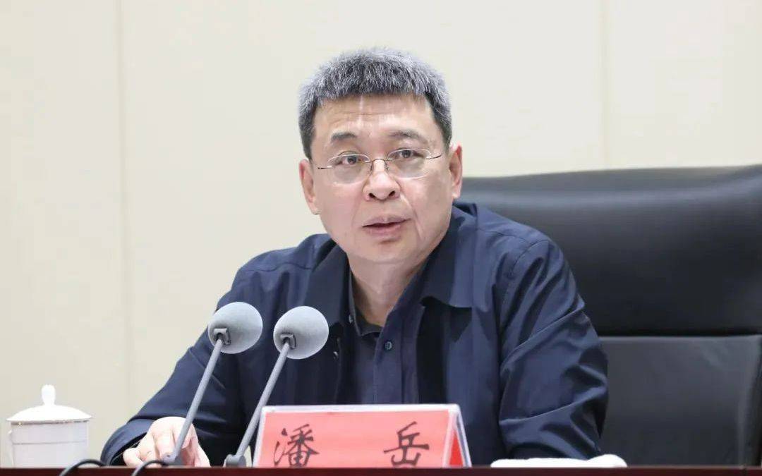 正部级潘岳<strong></p>
<p>川能动力股票</strong>,有新职