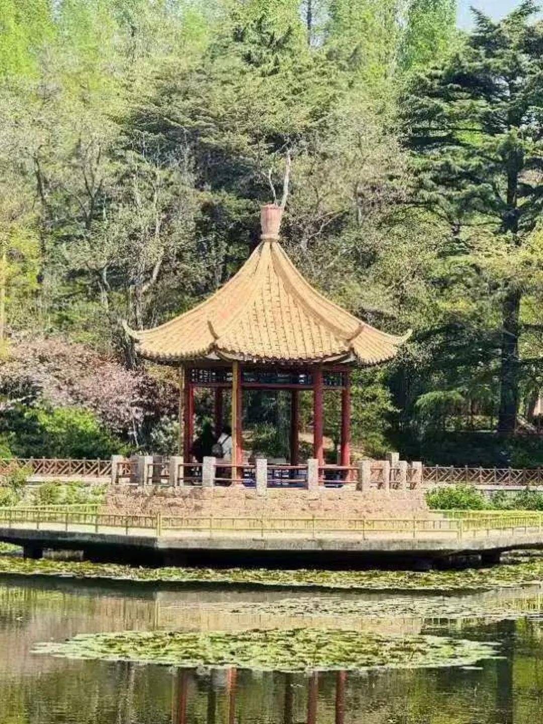 青岛中山公园一凉亭突然倒塌：一年前刚完成修缮<strong></p>
<p>万丰奥威股票</strong>，园方称无伤亡原因待查