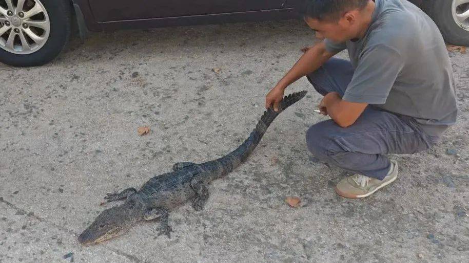 安徽一钓鱼佬钓到一条1米长20斤的“大鱼”<strong></p>
<p>万丰奥威股票</strong>,赶紧送到派出所,民警:放生!