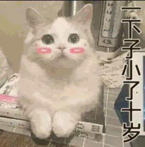 79岁老伯为见其相亲对象“翠花”<strong></p>
<p>万丰奥威股票</strong>,将身份证改小10岁 被发现后不忘叮嘱民警“能不能不告诉她”