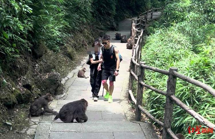 揭秘峨眉山陪爬团队：已陪爬千名游客九成为女性<strong></p>
<p>太极实业股票</strong>，不会主动拉背扛抱，主要保障安全