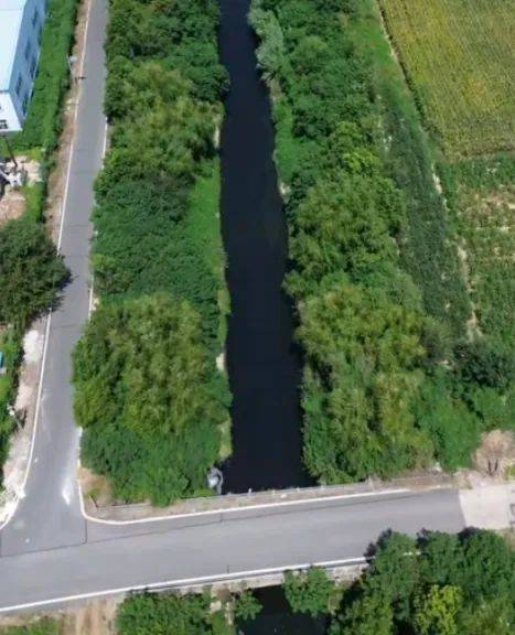 去年整改过的“黑水河”<strong></p>
<p>居然之家股票</strong>，今年怎么又黑了？ | 新京报快评