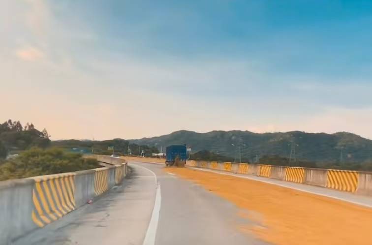 “经过的无一幸免！”多名车主在汕头一高速口附近遇黄色污物<strong></p>
<p>黑猫股份股票</strong>，洗车店主：店都臭了