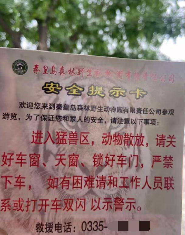 惊险！野生动物园内<strong></p>
<p>黑猫股份股票</strong>，两车剐蹭，车主下车沟通老虎一旁围观