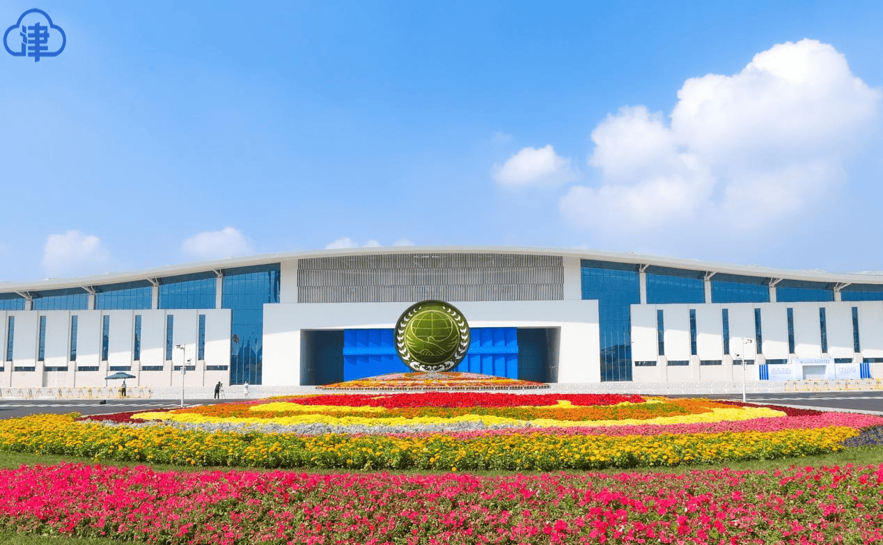 【津云镜头】共筑上合梦 同享“上合蓝”