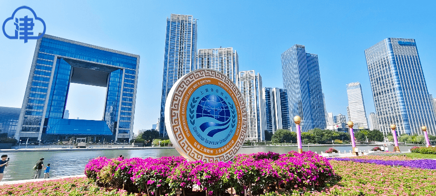 【津云镜头】共筑上合梦 同享“上合蓝”