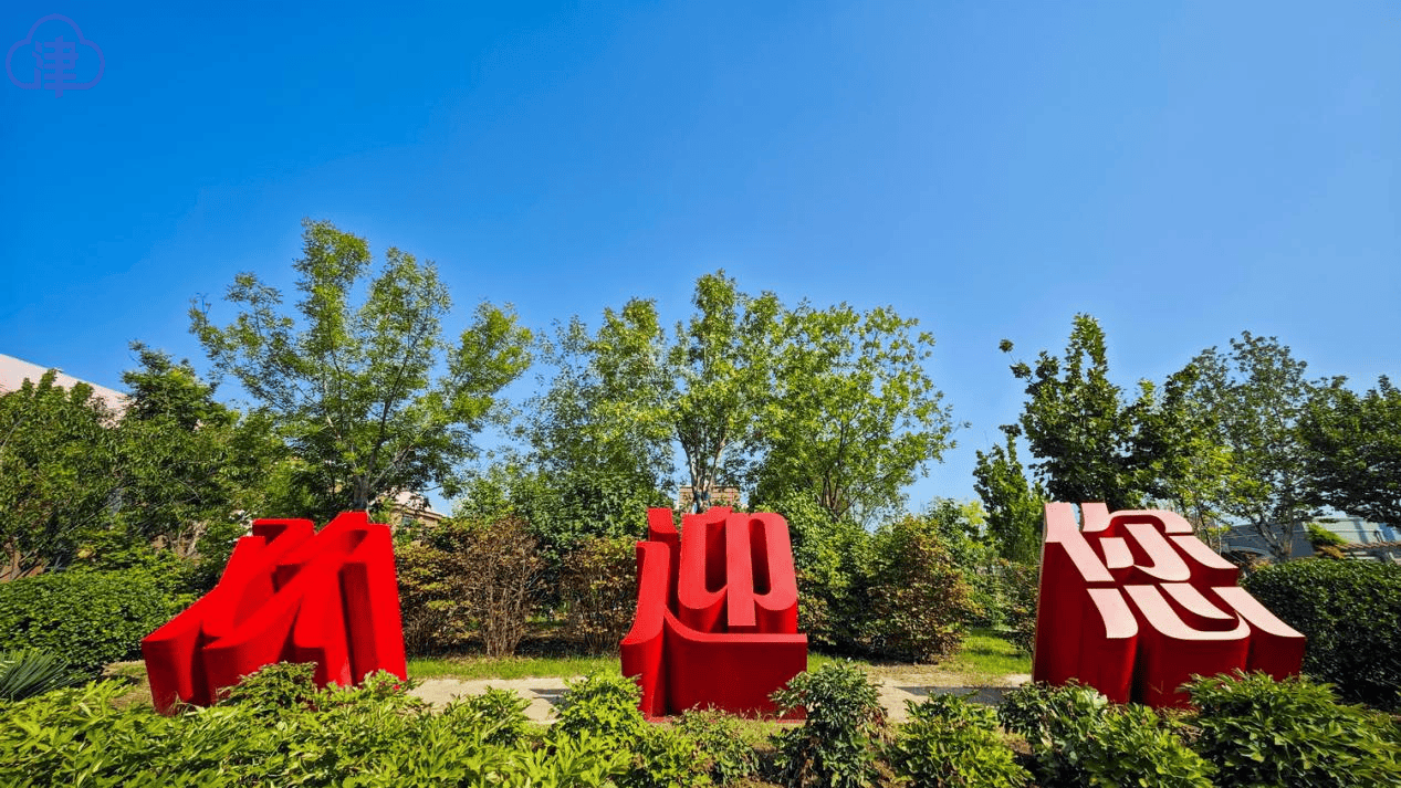 【津云镜头】共筑上合梦 同享“上合蓝”