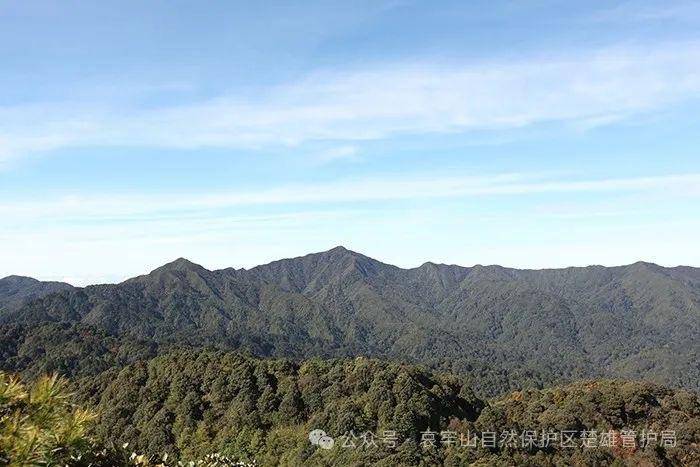 云南哀牢山新规出台：禁止任何单位和个人擅入哀牢山自然保护区<strong></p>
<p>江苏有线股票</strong>，从事科研活动须报批