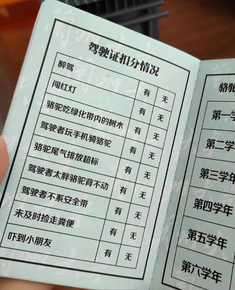 一人一驼<strong></p>
<p>江苏有线股票</strong>，骆驼尾气排放超标要扣分？兰大回应学生持证骑骆驼上学：骆驼驾驶证为学校文创，非官方证件