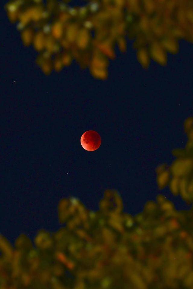 刷屏朋友圈<strong></p>
<p>可口可乐股票</strong>!“红月亮”高清大图来了