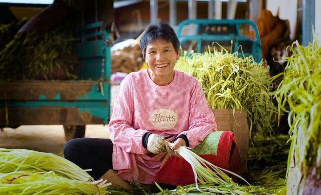 弥勒“新哨经验”<strong></p>
<p>可口可乐股票</strong>,全州推广!