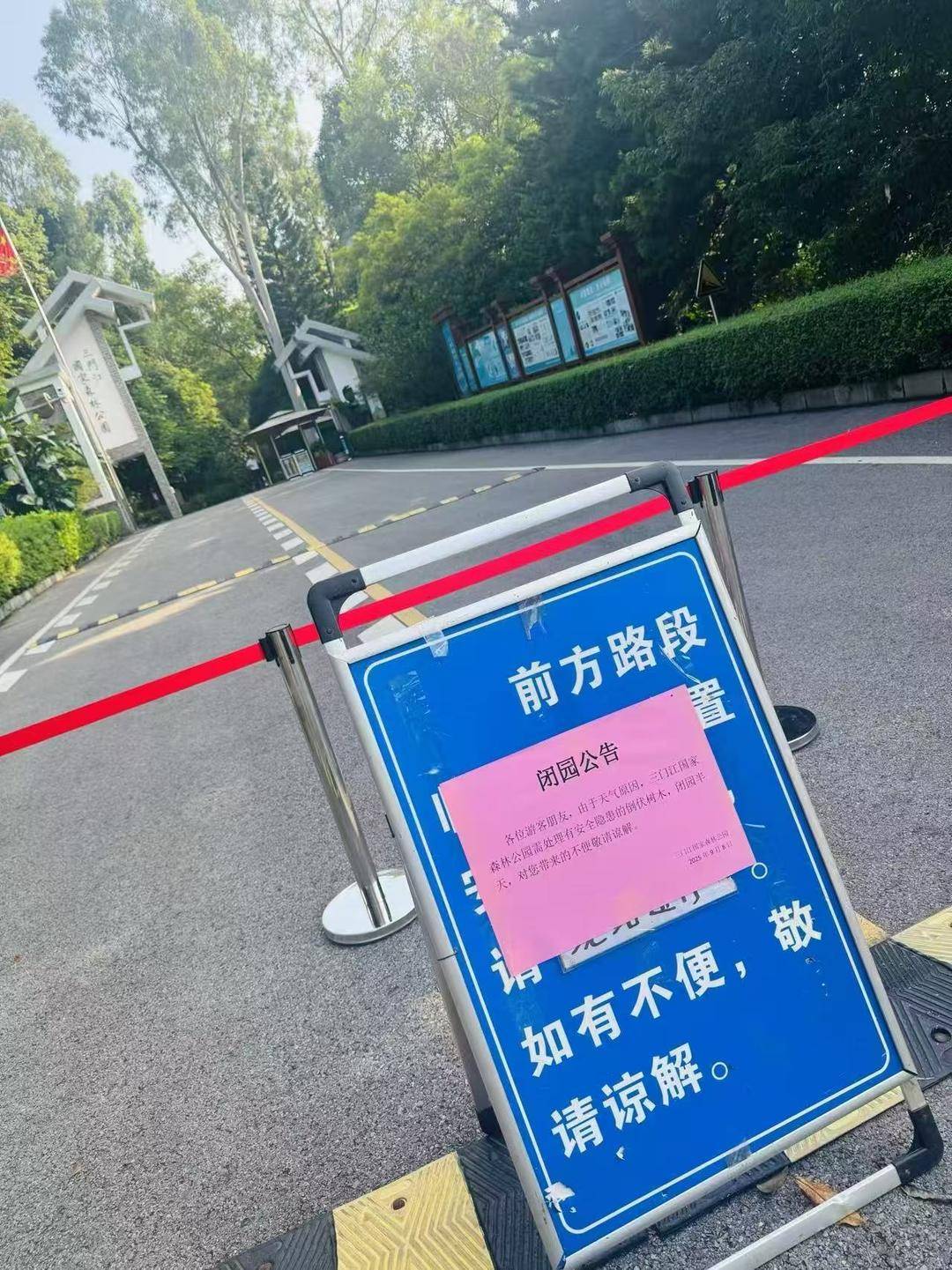 广西柳州三门江公园回应“游客被雷电击伤”:雷击凉亭后树枝砸伤游客<strong></p>
<p>可口可乐股票</strong>,治疗后已回家