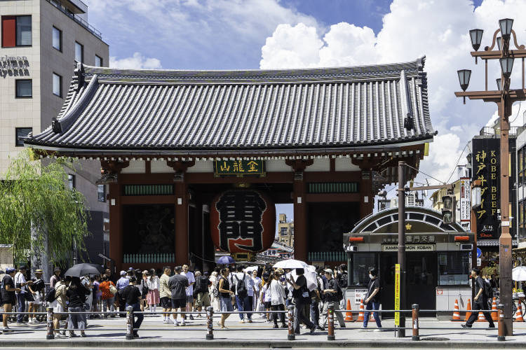 石破茂黯然下台 自民党“双少数”困局谁来破<strong></p>
<p>可口可乐股票</strong>?