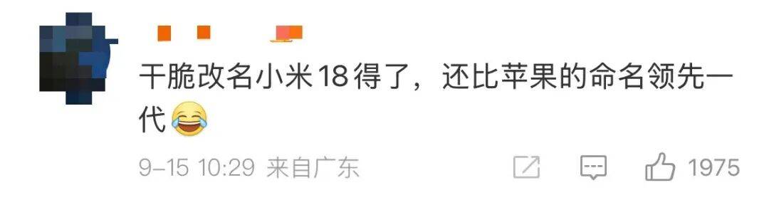 雷军:全面对标iPhone<strong></p>
<p>马应龙股票</strong>,正面迎战!小米宣布跳过16系列,直接发布17