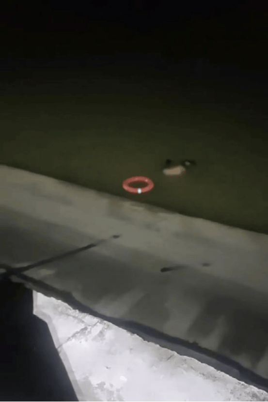 东莞一女子凌晨沉入漆黑水库<strong></p>
<p>浙江东方股票</strong>,民警第二跳让人揪心……