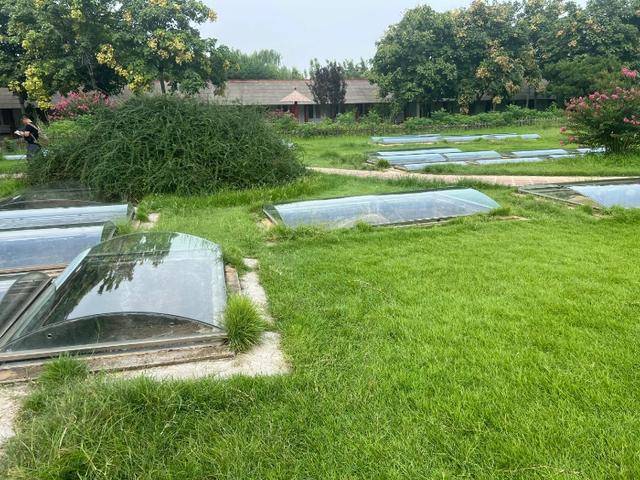 游客称殷墟博物馆人祭坑被填埋<strong></p>
<p>浙江东方股票</strong>，博物馆回应：坑内陈列物系复制品，因整修暂时填埋