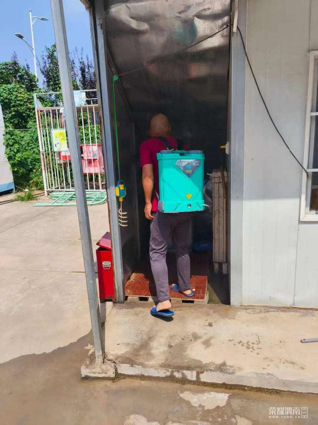 西安多区发现隐翅虫？千万别拍<strong></p>
<p>宝钢股份股票</strong>！毒液堪比硫酸