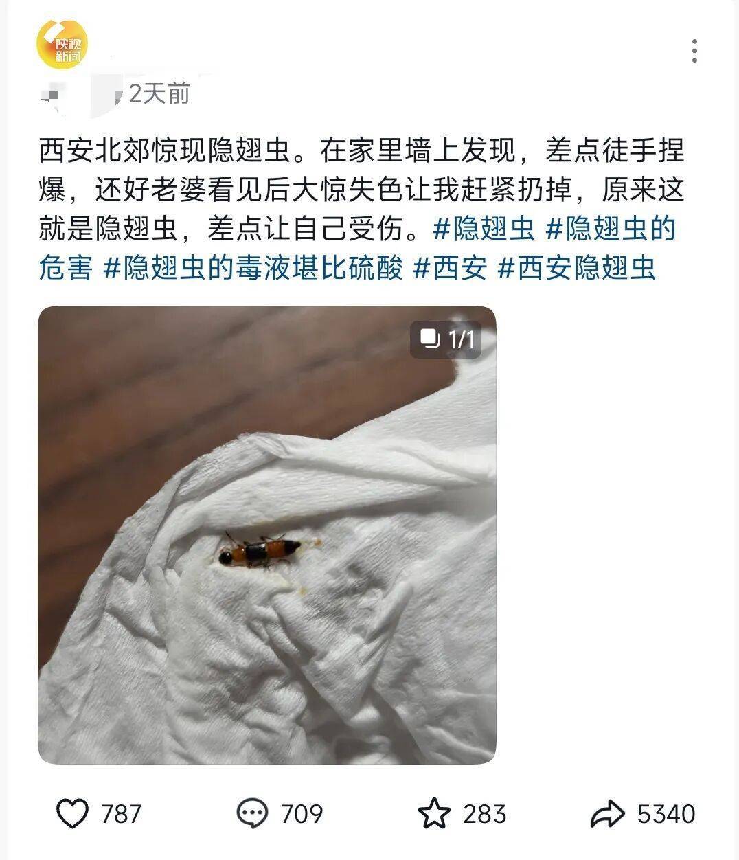 西安多区发现隐翅虫？千万别拍<strong></p>
<p>宝钢股份股票</strong>！毒液堪比硫酸