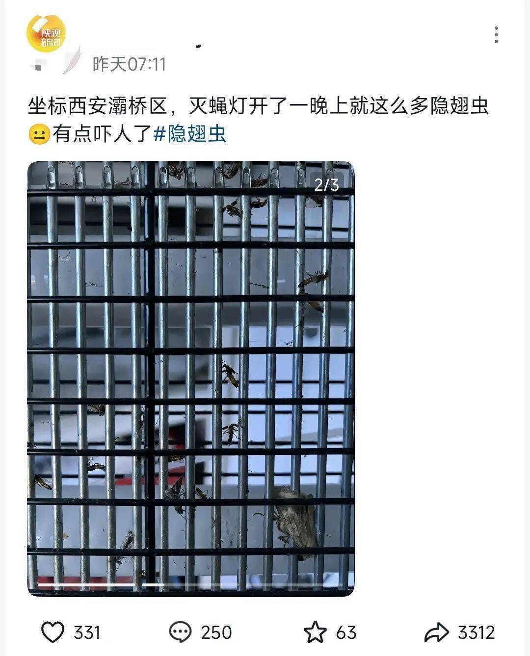 西安多区发现隐翅虫？千万别拍<strong></p>
<p>宝钢股份股票</strong>！毒液堪比硫酸