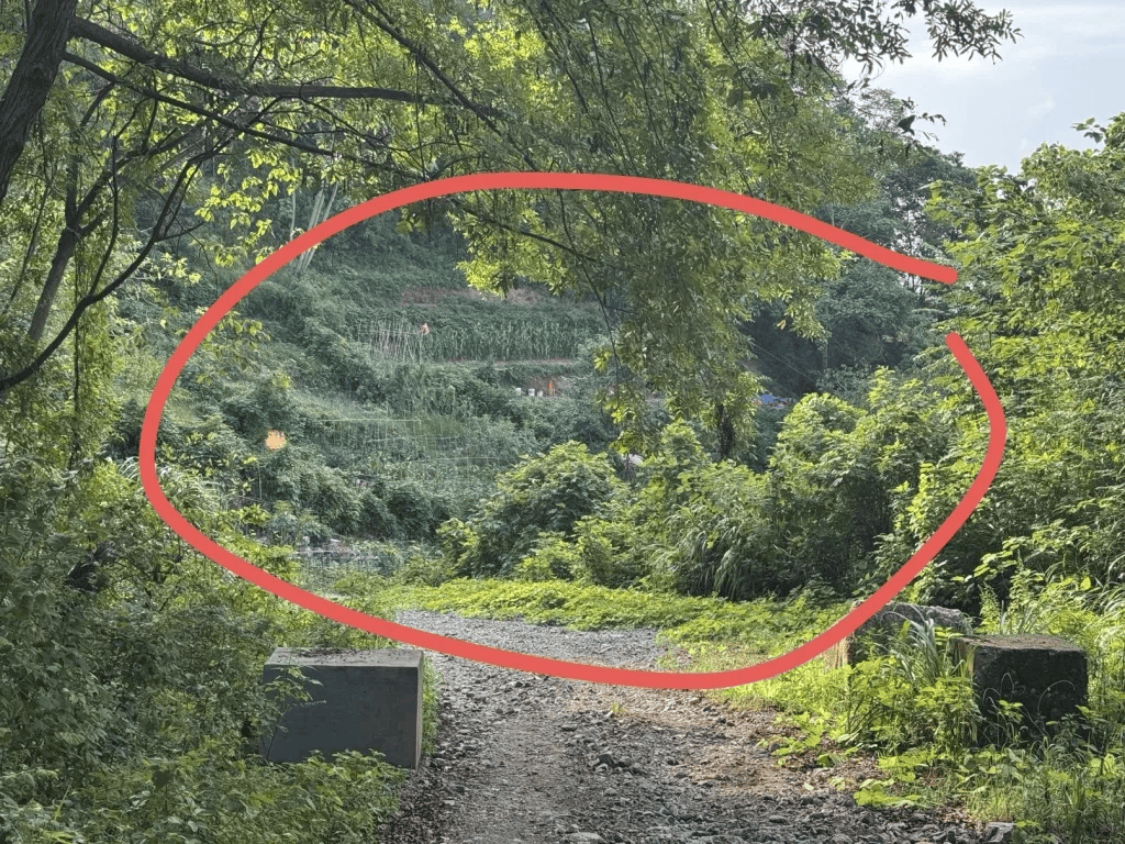 杭州女子误踩“化骨水”身亡<strong></p>
<p>同济科技股票</strong>，当地：已锁定化学品所有者，发现三桶，一桶完整，两桶残余